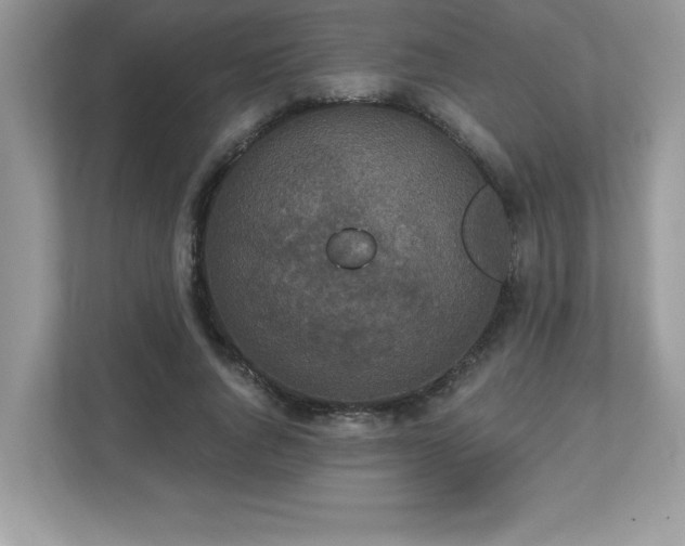 X0000112860736200908211320
