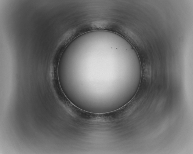 X0000112860738200908211320