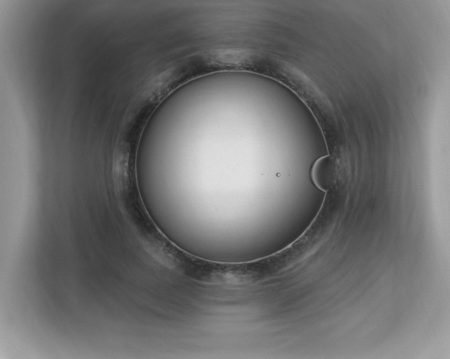 X0000112860739200908211320
