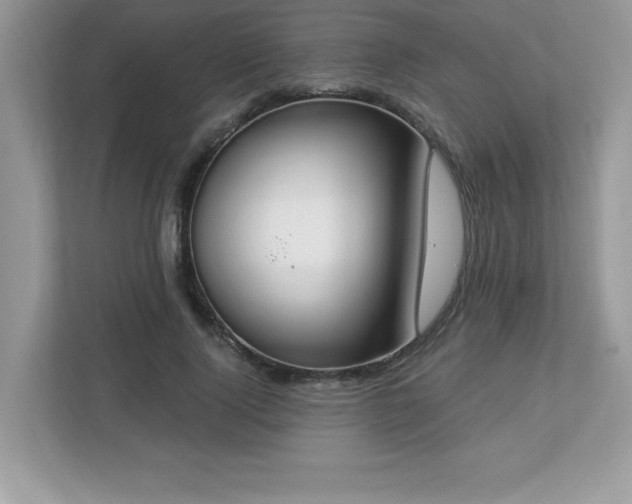 X0000112860740200908211320
