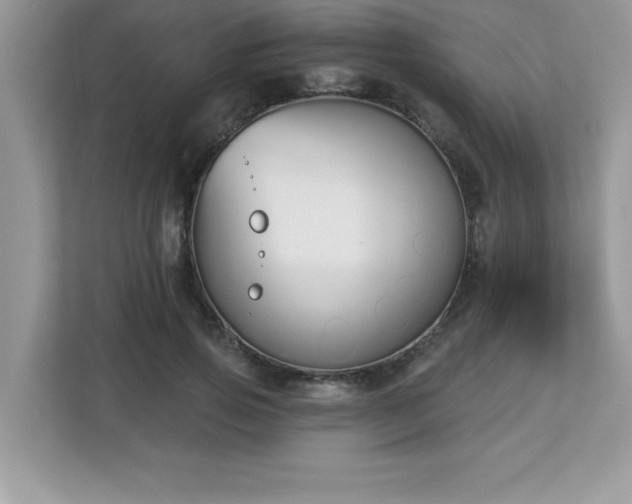 X0000112860741200908211320