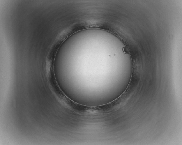 X0000112860742200908211320
