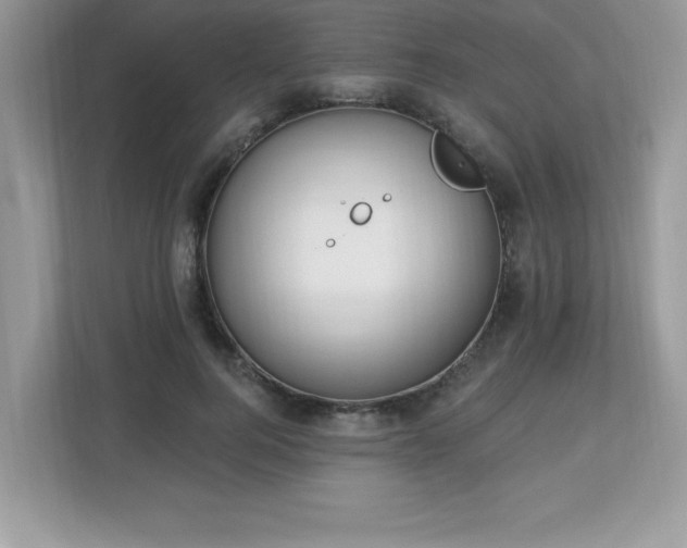 X0000112860744200908211320