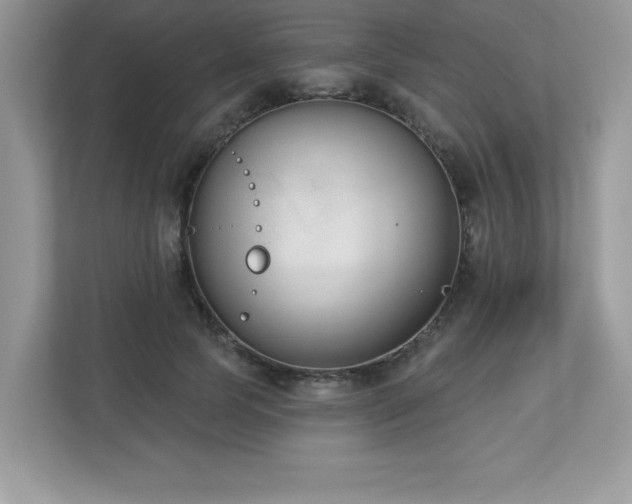 X0000112860745200908211320