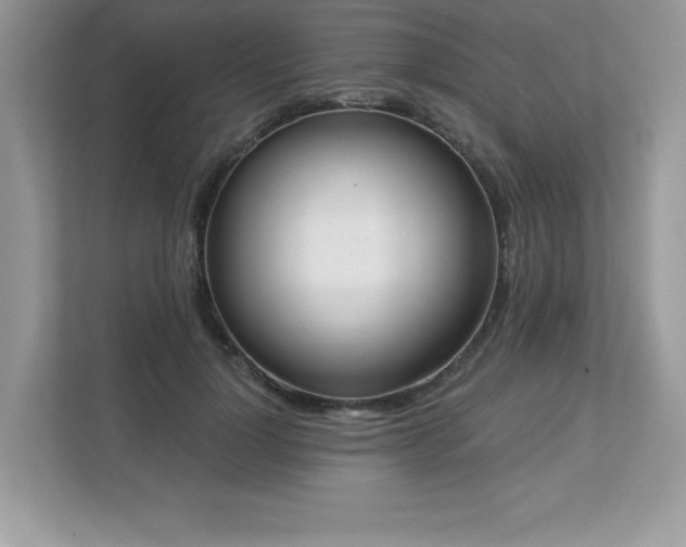 X0000112860748200908211320