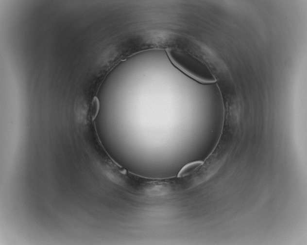 X0000112860750200908211320