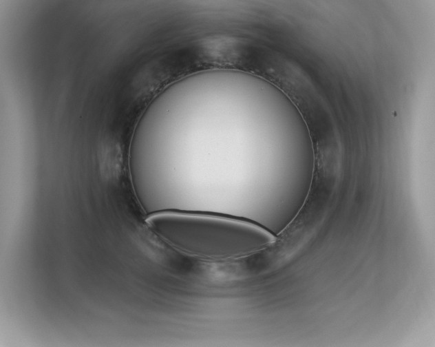 X0000112860752200908211320