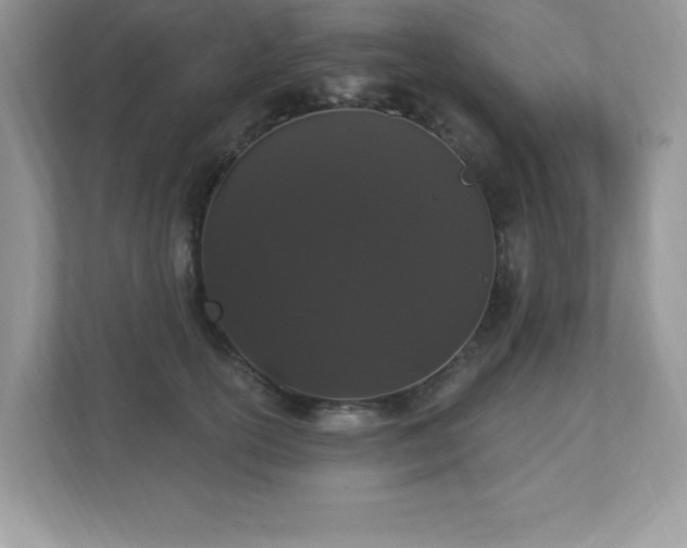 X0000112860754200908211320