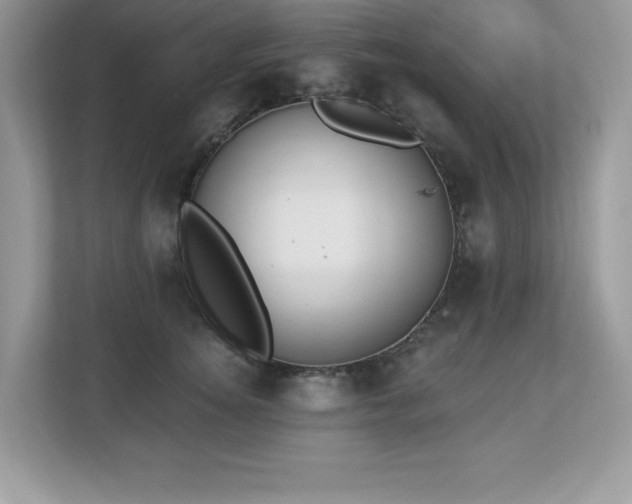X0000112860756200908211321
