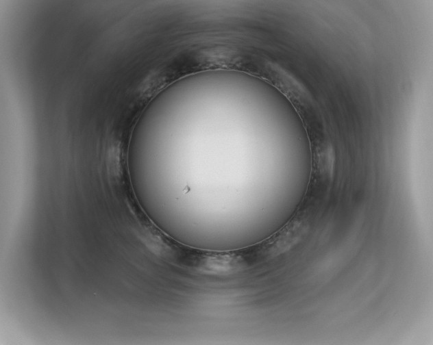X0000112860757200908211321