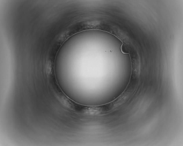 X0000112860758200908211321