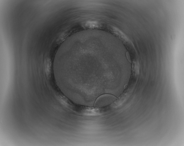 X0000112860760200908211321
