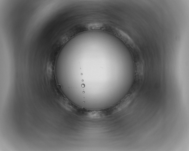 X0000112860761200908211321