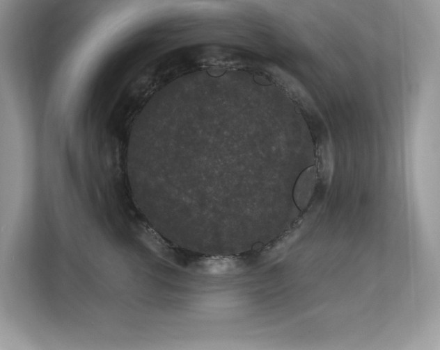 X0000112860762200908211321