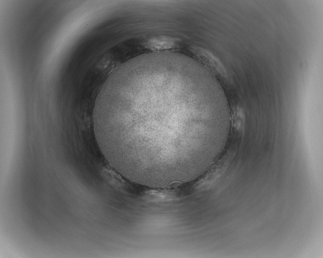 X0000112860763200908211321