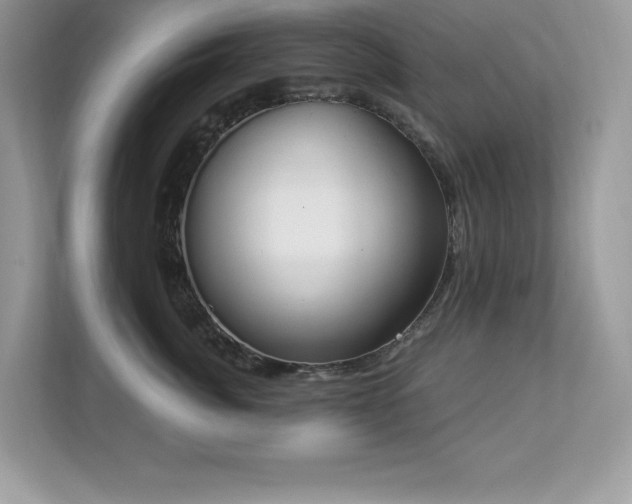 X0000112860764200908211321