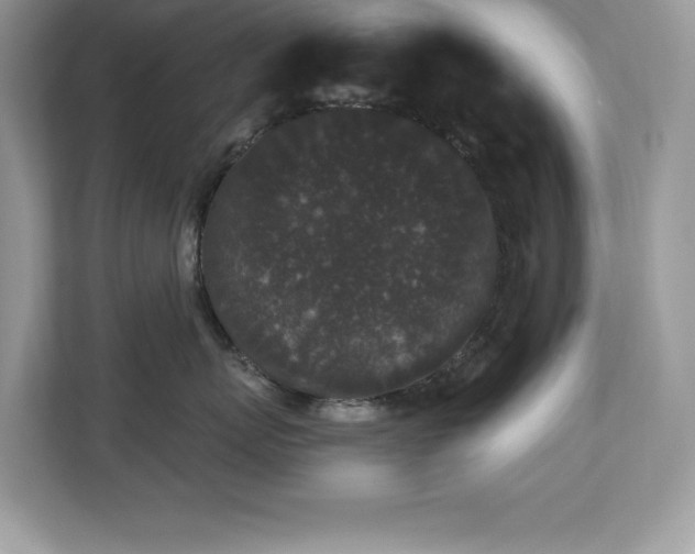X0000112860767200908211321