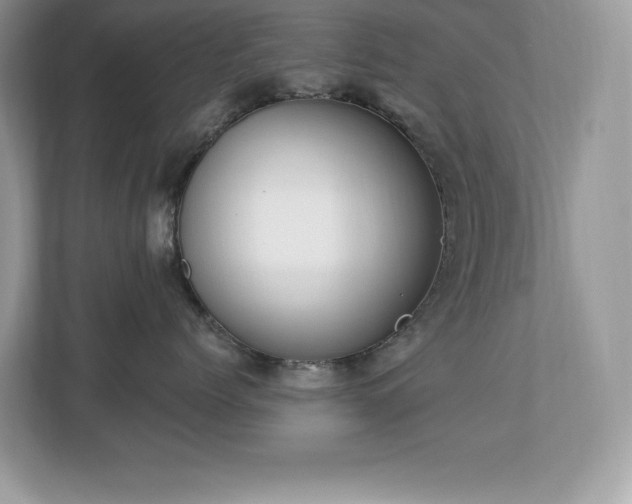 X0000112860768200908211321