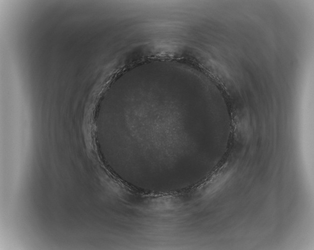 X0000112860769200908211320