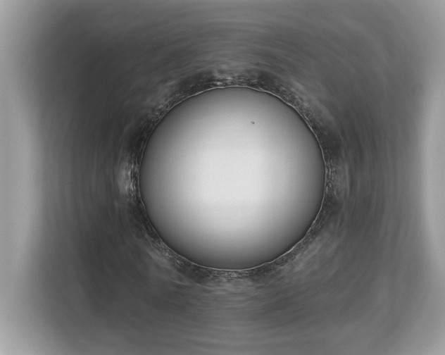 X0000112860770200908211320
