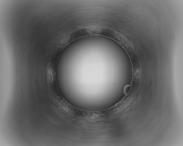 X0000112860772200908211320