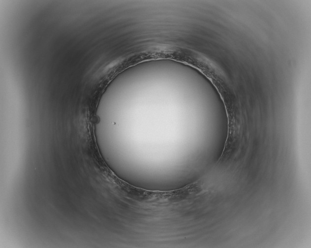 X0000112860773200908211320