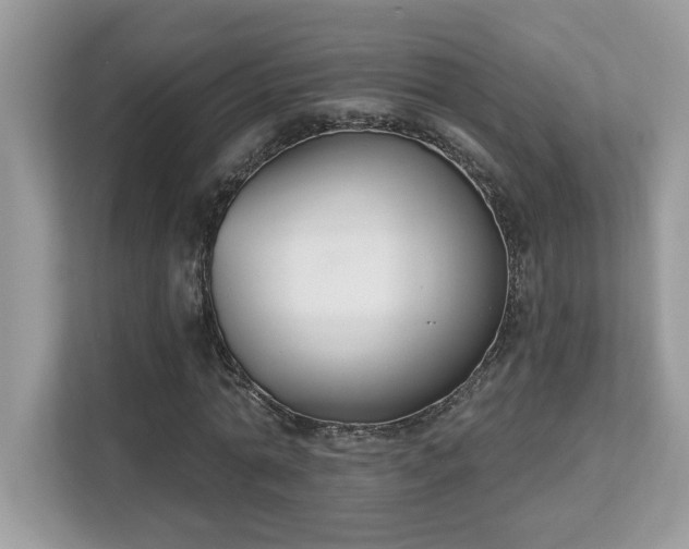 X0000112860774200908211320