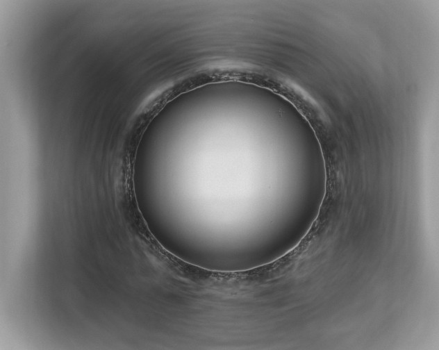 X0000112860775200908211320
