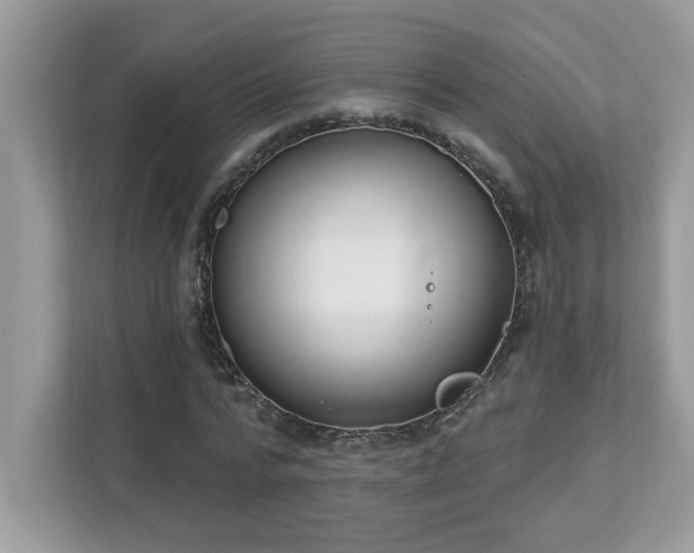 X0000112860776200908211320