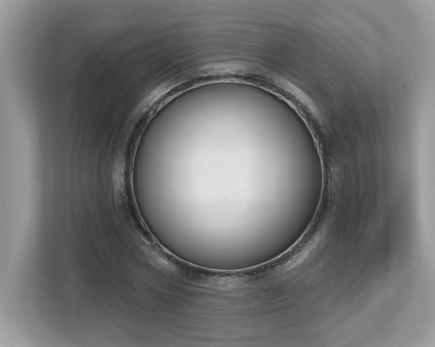 X0000112860778200908211320