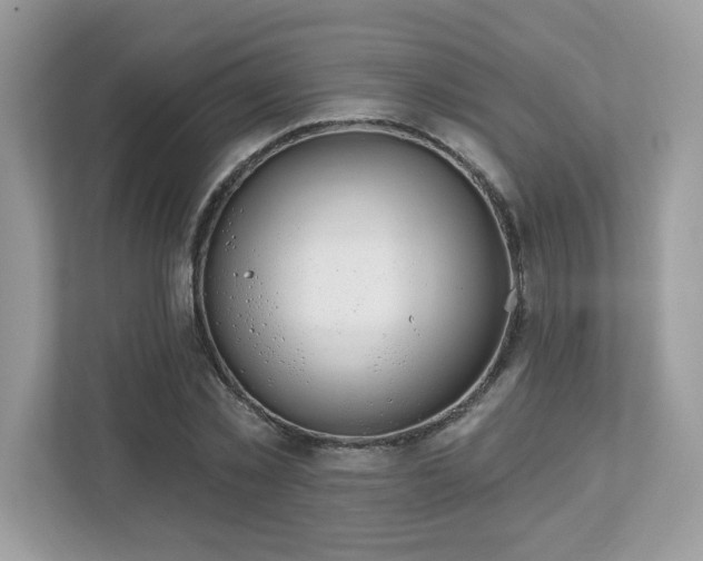 X0000112860781200908211320