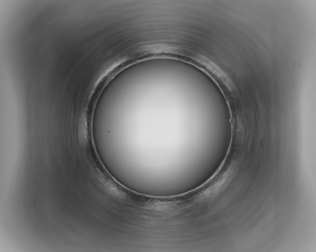 X0000112860782200908211320