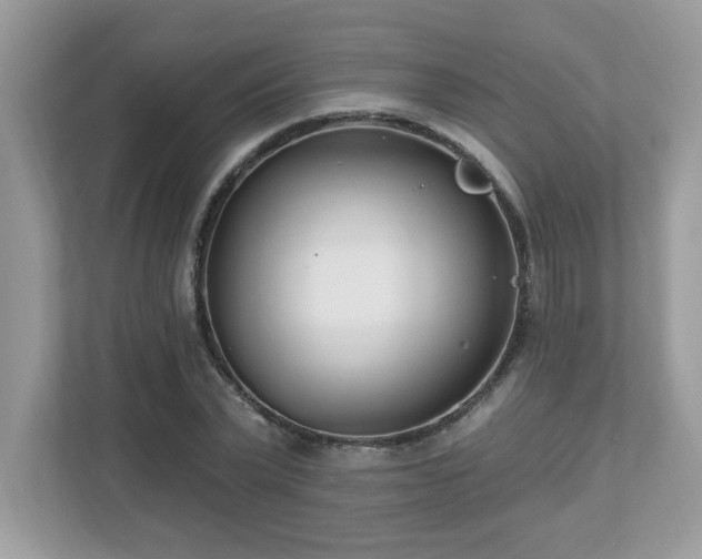 X0000112860783200908211320