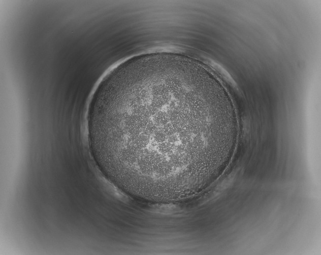 X0000112860784200908211320