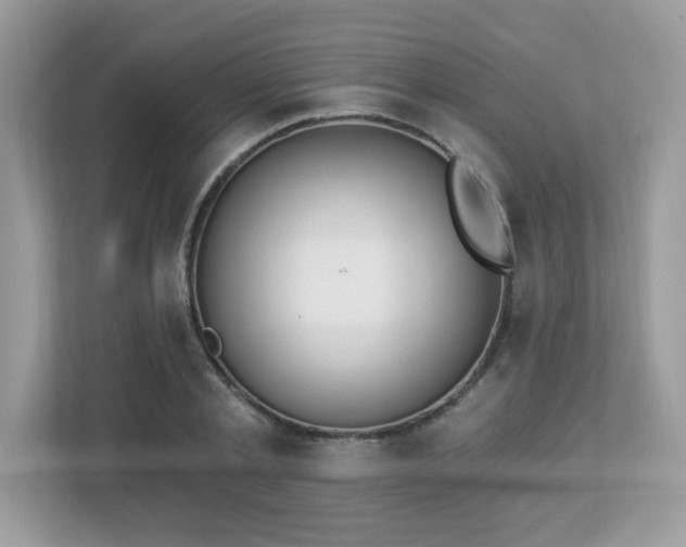 X0000112860789200908211320