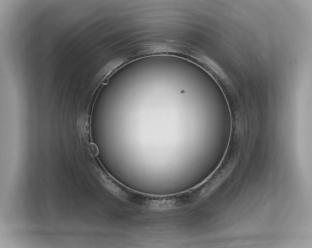 X0000112860793200908211320