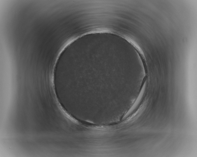 X0000112860797200908211320