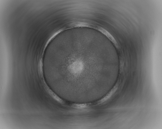 X0000112860798200908211320