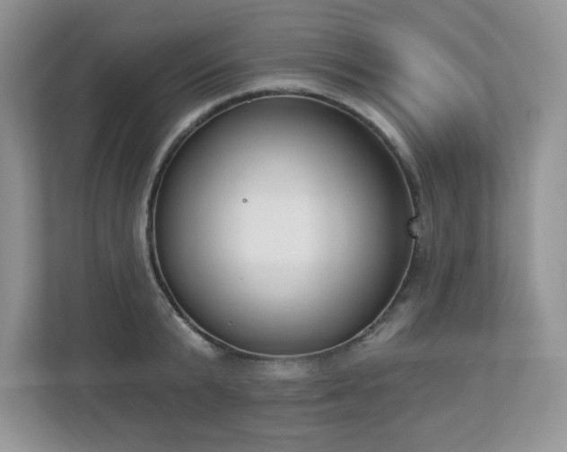 X0000112860799200908211320