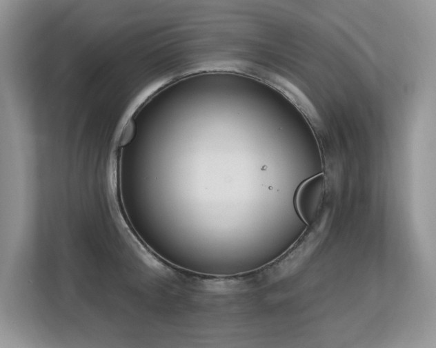 X0000112860804200908211320