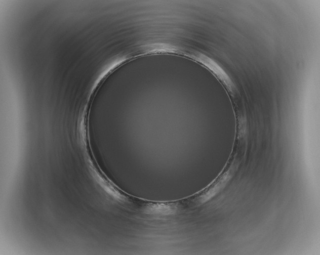 X0000112860806200908211320