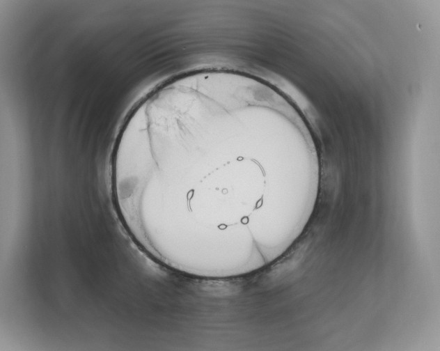 X0000112860807200908211320