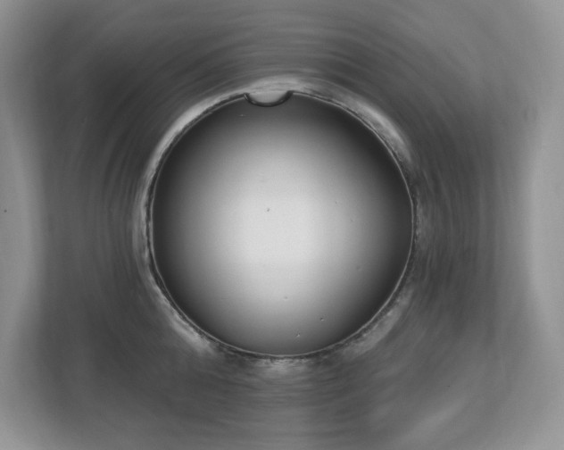 X0000112860808200908211320