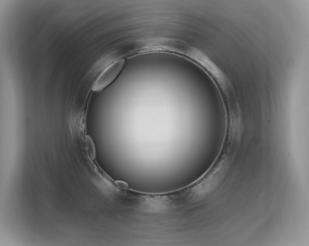 X0000112860809200908211320