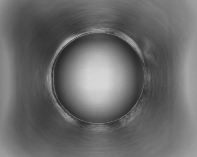 X0000112860811200908211319