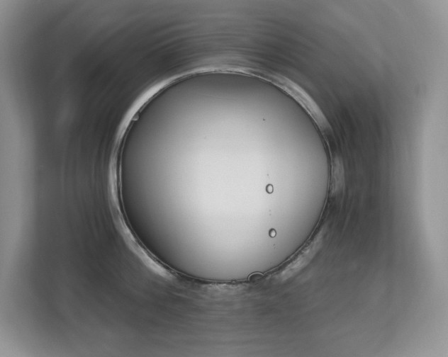 X0000112860812200908211319