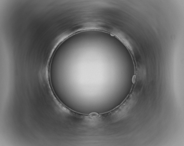 X0000112860813200908211319