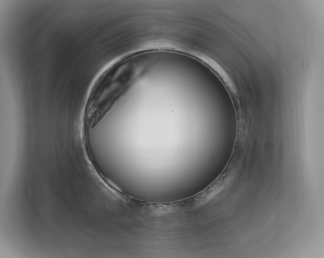 X0000112860815200908211319