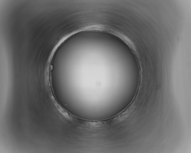 X0000112860816200908211319
