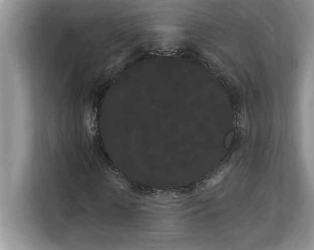 X0000112860818200908211319